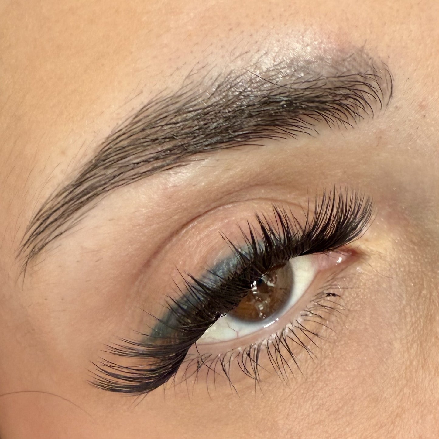 Drama Queen - Wimpernverlängerung Starter-Set